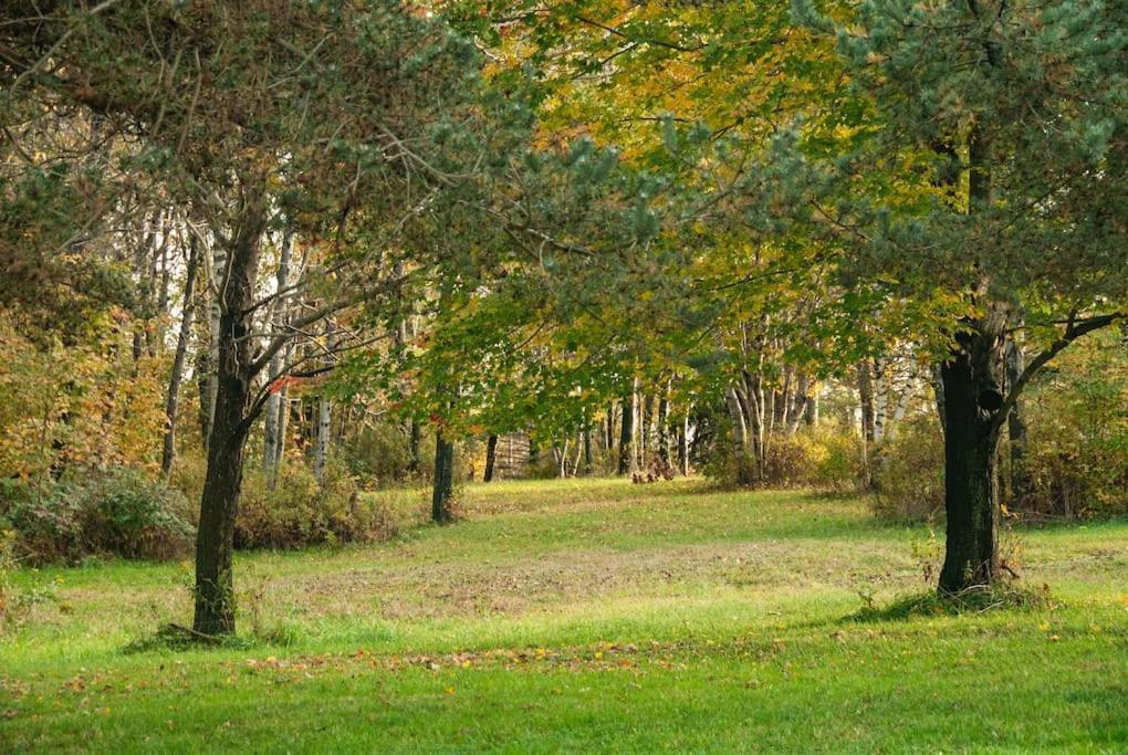 Holiday home Elk Mountain Ski Resort: On 21 Acres