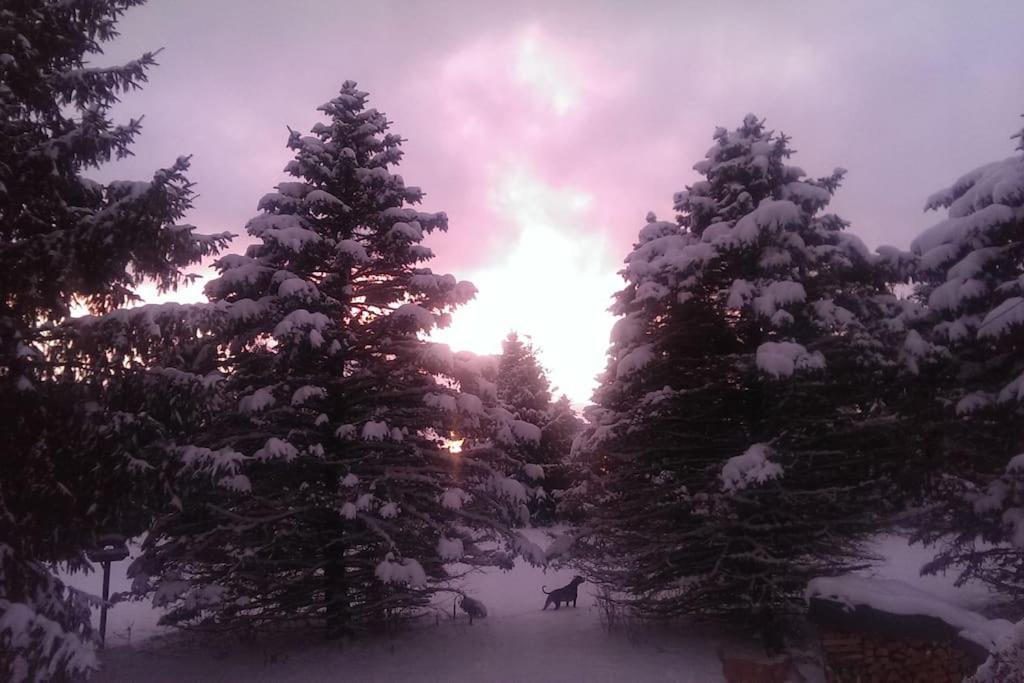 Elk Mountain Ski Resort: On 21 Acres Union Dale