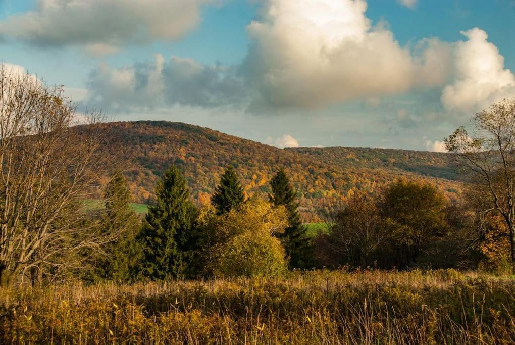 Elk Mountain Ski Resort: On 21 Acres Holiday home Union Dale
